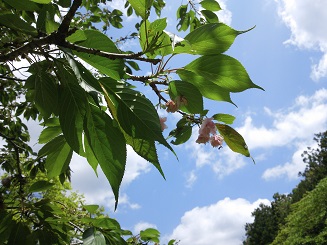 e0149215_2031794.jpg