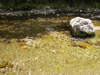 e0149215_2082759.jpg