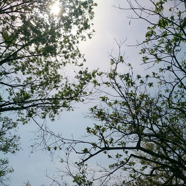 ご褒美_e0239118_18160110.jpg