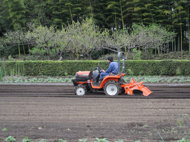 久しぶりの大学農園_c0047919_1649552.jpg