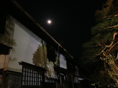 ライトアップ いよいよスタート_e0135219_20574331.jpg