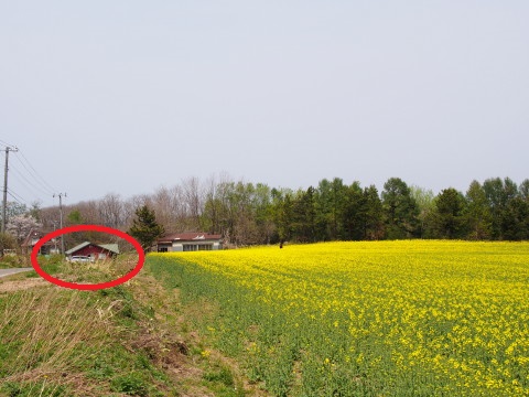 菜の花&岩木山(鯵ケ沢町)*2015.05.01_b0147224_19292024.jpg