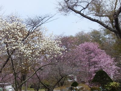 c0204725_1120376.jpg