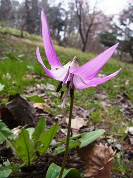 c0204725_11241989.jpg