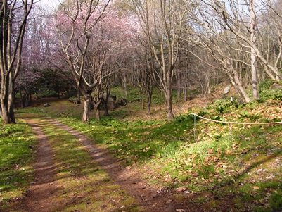 c0204725_11244516.jpg
