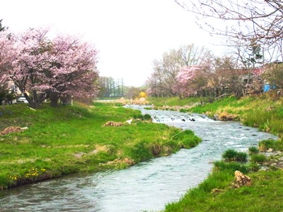 c0204725_11384291.jpg