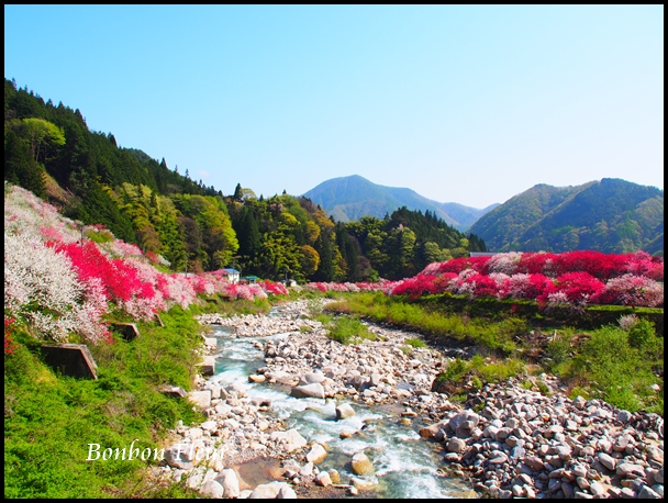 花桃の里_c0176527_20423714.jpg