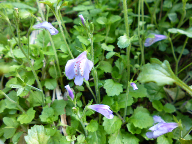 a0220528_23182946.jpg