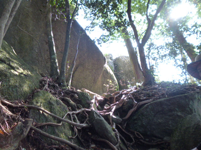 a0220528_23191427.jpg