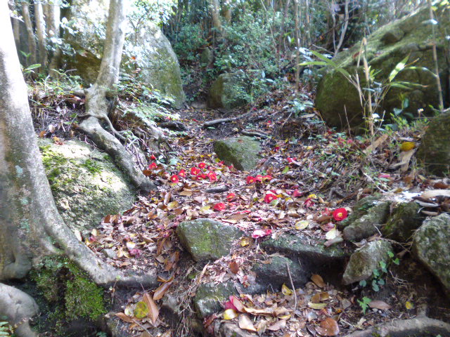 a0220528_23192714.jpg