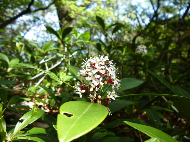 a0220528_23211655.jpg