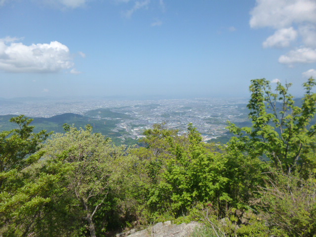 a0220528_232128.jpg