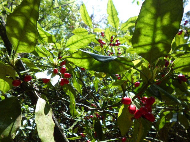 a0220528_23212887.jpg