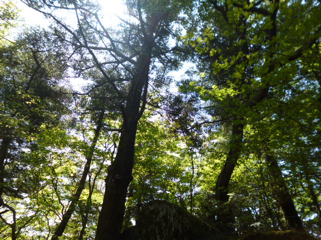 a0220528_23215738.jpg