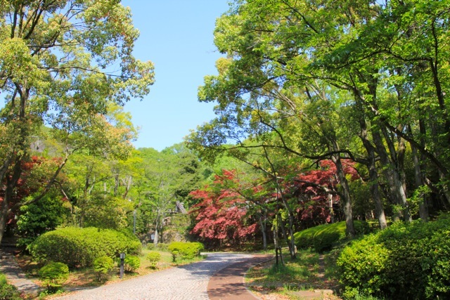f0348831_07444162.jpg