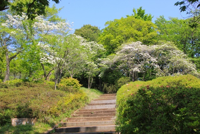 f0348831_07461196.jpg
