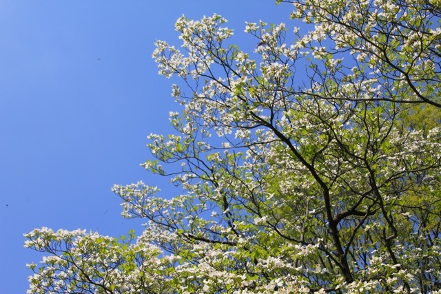 f0348831_07461512.jpg