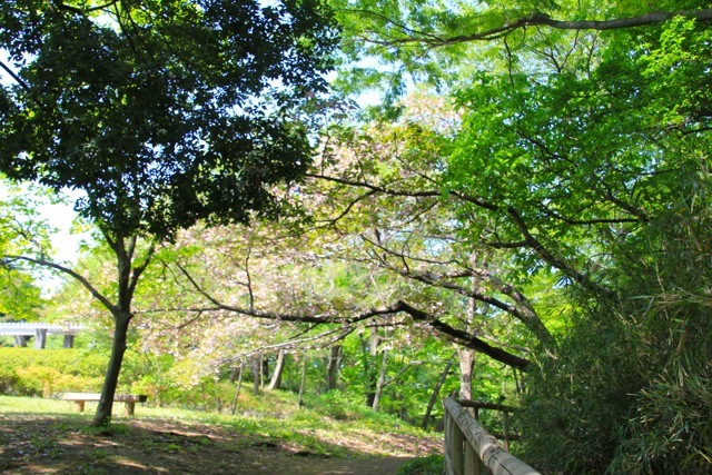 f0348831_07462079.jpg