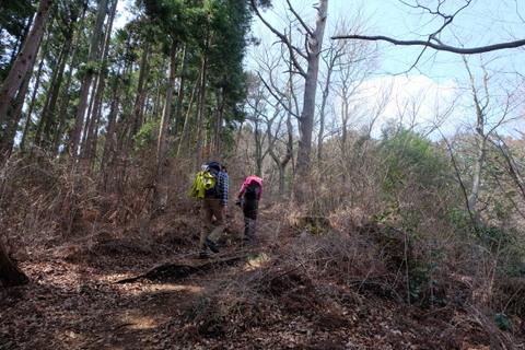 お花を観に裏高尾　〜3月22日(日)〜　その③　景信山編_b0281732_9103875.jpg