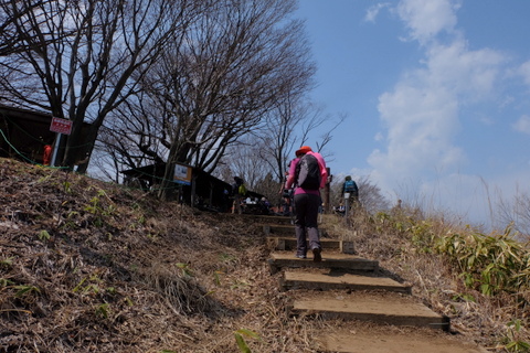 お花を観に裏高尾　〜3月22日(日)〜　その③　景信山編_b0281732_95218.jpg