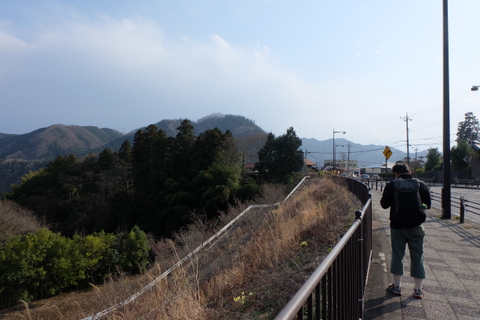 お花を観に裏高尾　〜3月22日(日)〜　その③　景信山編_b0281732_965252.jpg