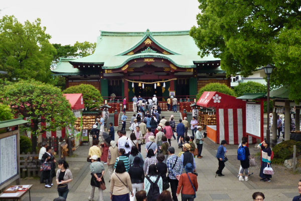 亀戸天神社　ふじ祭り　　2015-4-30_c0153534_19153349.jpg