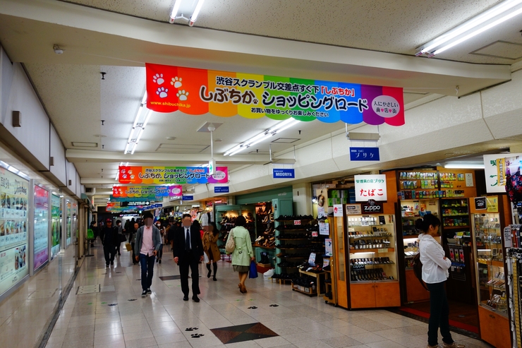 a0287336_17214875.jpg