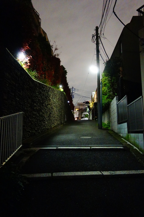 a0287336_17352538.jpg