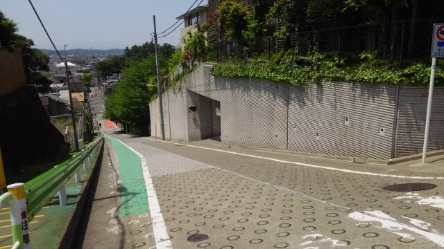 岡本三丁目の坂 世田谷区 5月1日 猫好き写真館