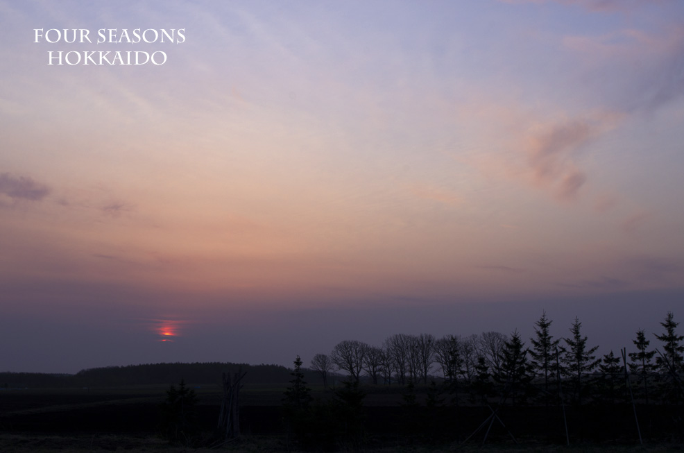 桜色の空_f0152939_17311080.jpg