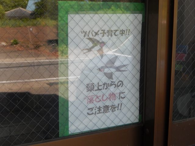 a0048040_8595835.jpg
