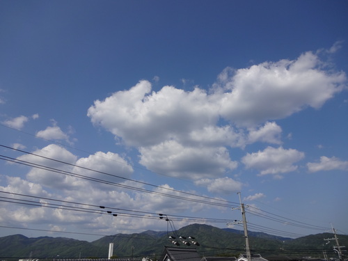 c0264343_221112.jpg