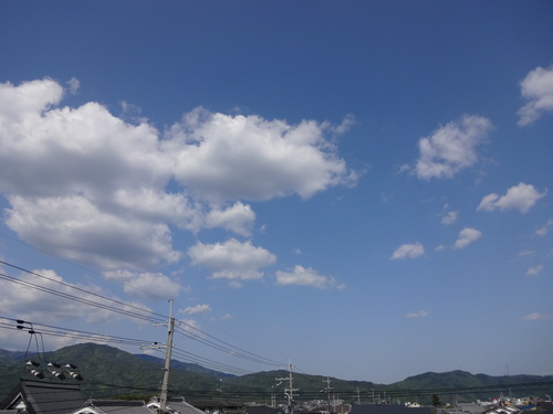 ちょっぴり　夏！_c0264343_22211042.jpg