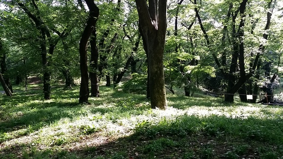 代々木公園_f0188652_1665367.jpg