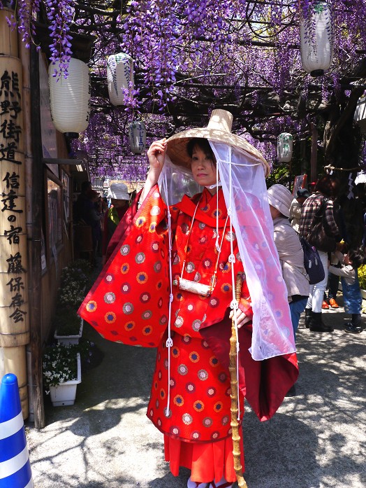 　　藤まつり_b0093754_19502481.jpg