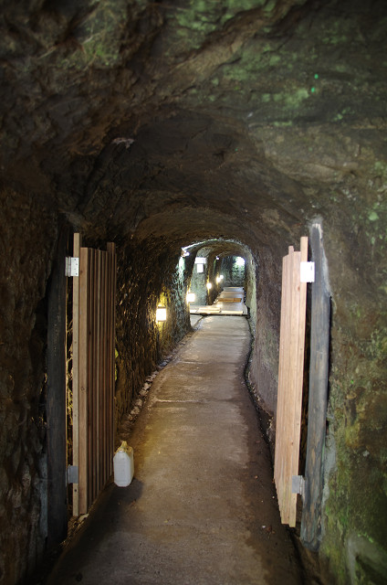 千葉・館山　　布良に遊ぶ_c0080357_11302434.jpg