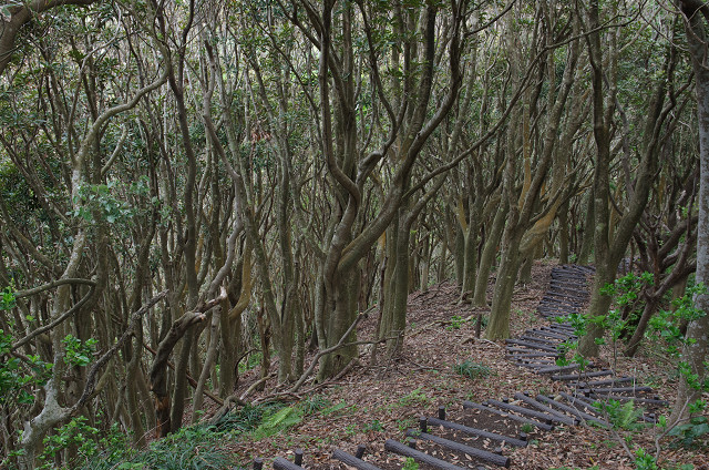 千葉・館山　　布良に遊ぶ_c0080357_113404.jpg