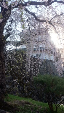 f0104457_1652330.jpg