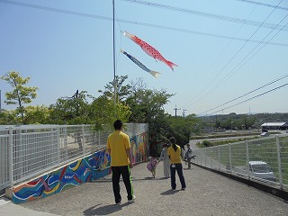 a0051662_1501014.jpg