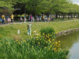 a0051662_15245530.jpg