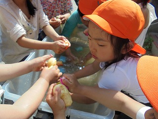 a0051662_16315219.jpg