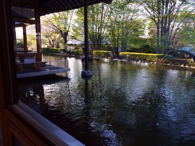 おすすめの温泉⭐︎ 群馬 望郷の湯_c0151965_13532122.jpg