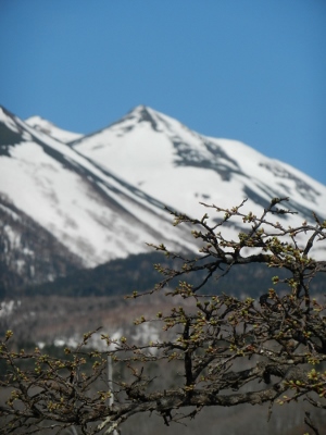 d0226767_18271356.jpg