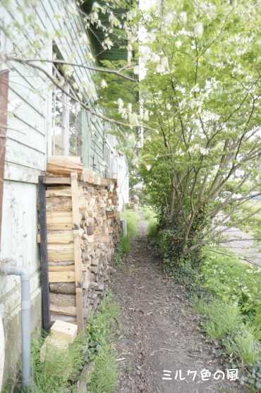 c0368870_10261584.jpg