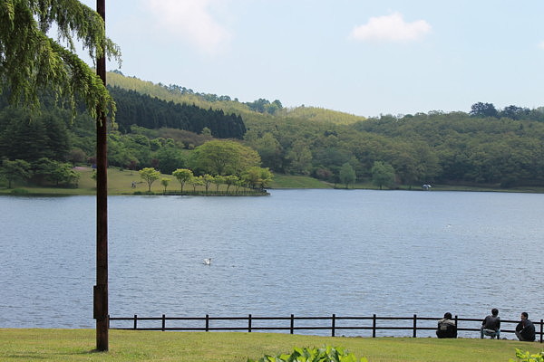 b0088173_17125046.jpg