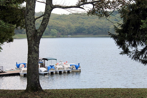 b0088173_17163929.jpg
