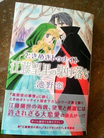 ありとみなおこさん納品とヤンマ産業受注会とpanierさん納品とマステお土産とときめきトゥナイト_b0304983_20231782.jpg