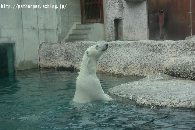 ２０１５年４月　ほぼ毎月とくしま動物園　その１_a0052986_2343333.jpg