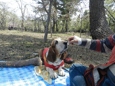 f0205887_1648145.gif