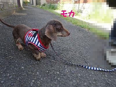 ねずみは無くなってウサギが出た_e0222588_17022264.jpg